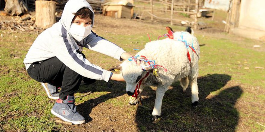 Lösemili küçük Arda'nın 'kuzu' hayali gerçekleşti