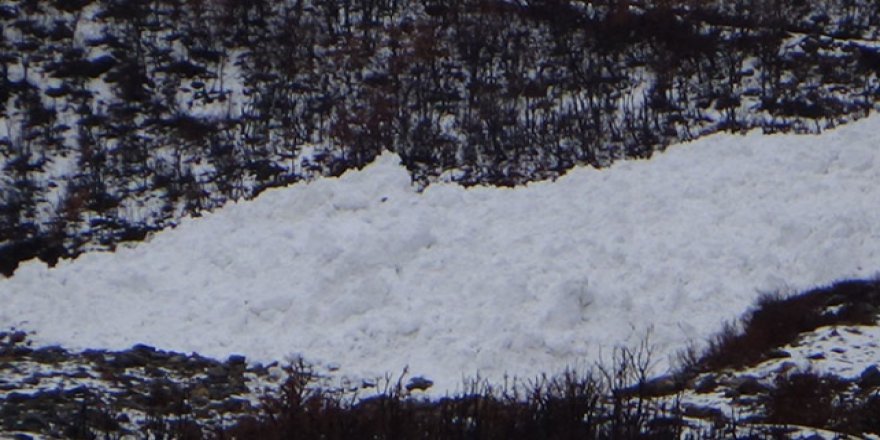 Şırnak Beytüşşebap'ta çığ düştü