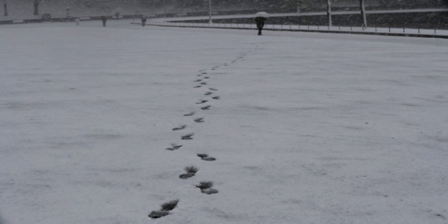 Japonya'nın kar fırtınası ile imtihanı