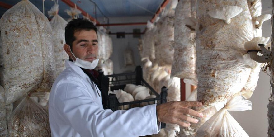 Kahvehaneyi "mantarhane"ye dönüştürdü