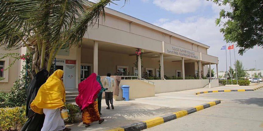 'Türkiye, Somali'de modern kurumlar inşa etme konusunda dünyada ilk sırada'