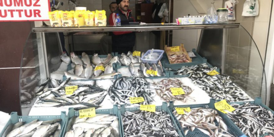 Hamsinin fiyatı el yaktı