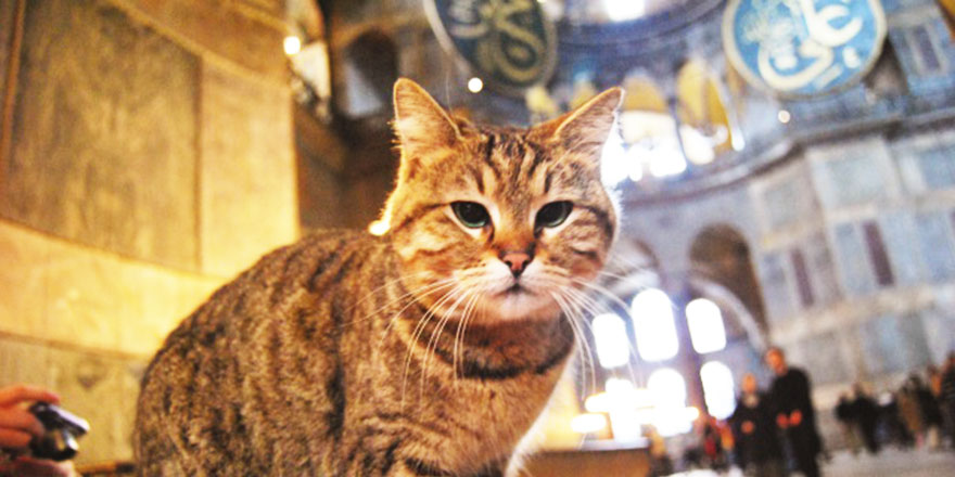 Onlar da Ayasofya'yı bekliyor