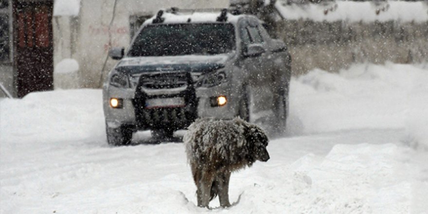 Ağrı'da sıcaklık eksi 18'e düştü, vatandaşlar zor anlar yaşadı