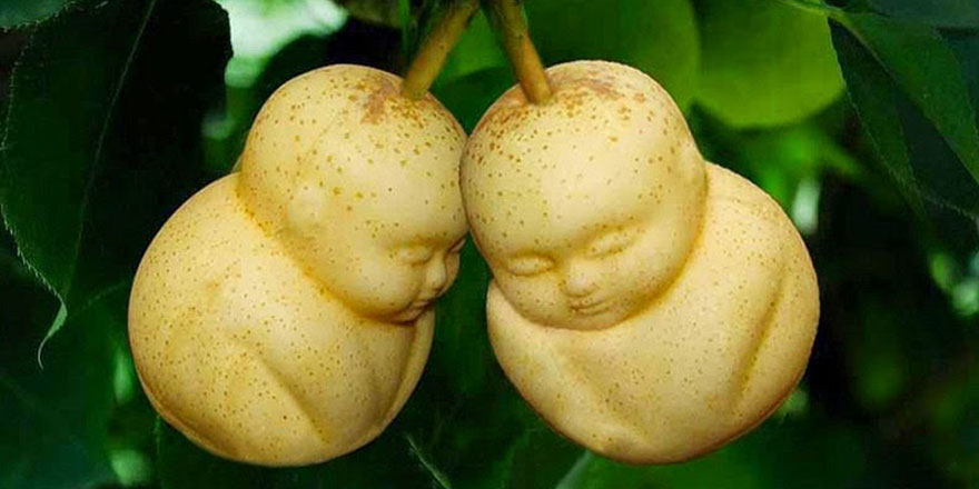 İnsan neden kainatın meyvesidir?