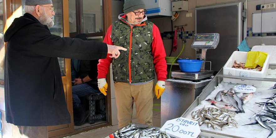 Balık fiyatları 'cep yakmaya' devam ediyor