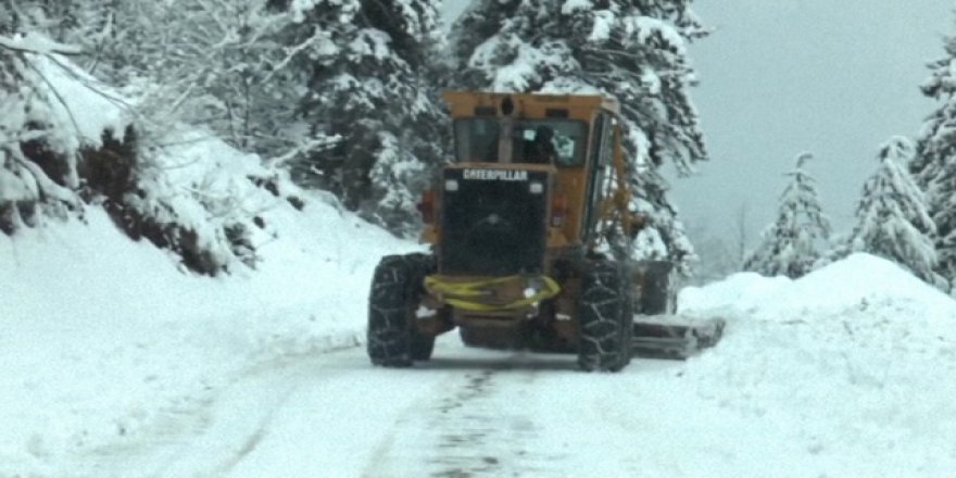 Artvin'de ulaşıma kar engeli
