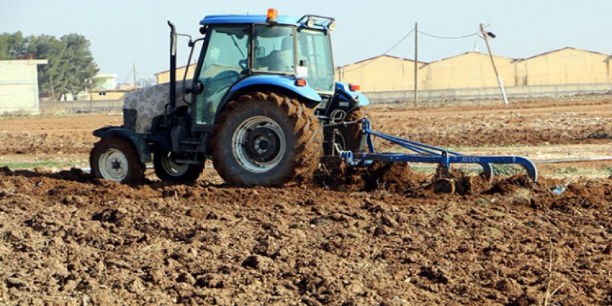 Kuraklık sigortasında poliçe kabul tarihi uzatıldı