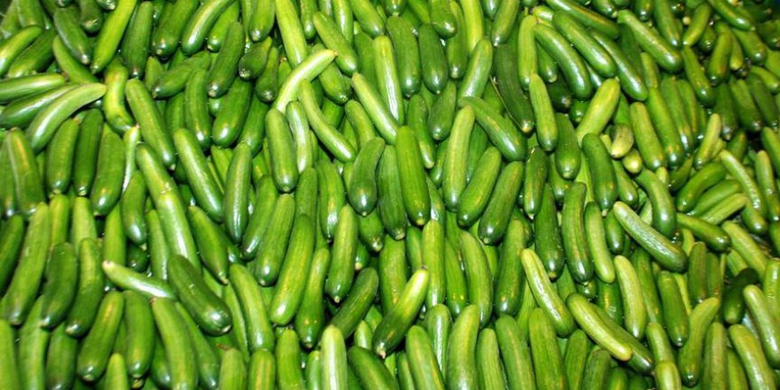 Ocak ayının zam şampiyonu salatalık oldu