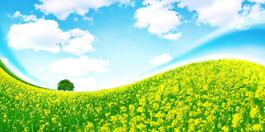 Bu asrın yaygın hastalığı stres ve depresyonun en büyük ilacı