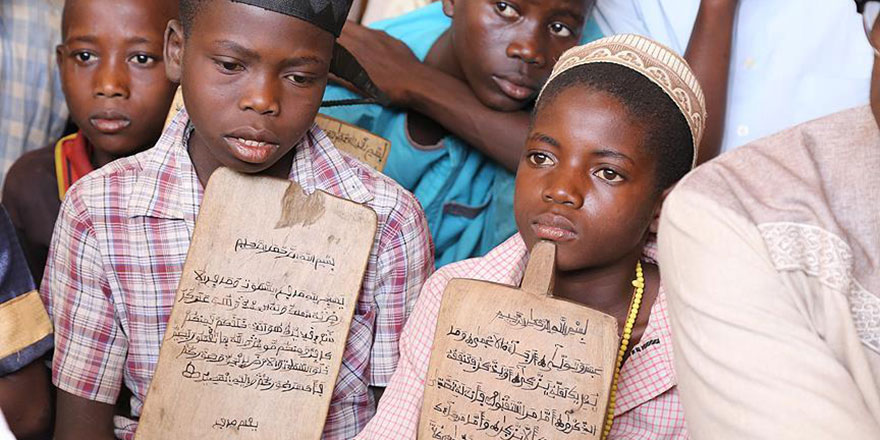 Onların tableti ağaçtan