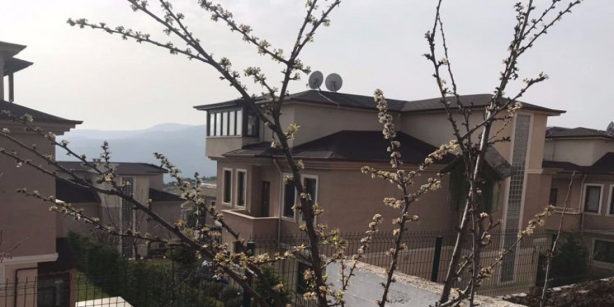 Erik ağacı şubat ayında çiçek açtı