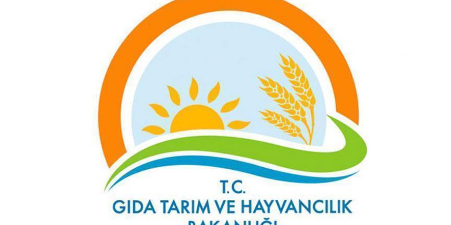 Görevde Yükselme ve Unvan Değişikliği Sınavı ekimde yapılacak