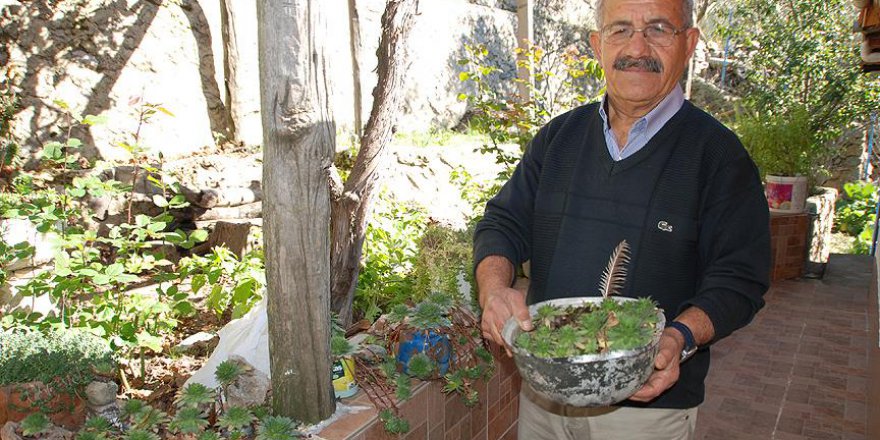 Emekli öğretmenin "geri dönüşüm saksıları" mahalleliye örnek oldu
