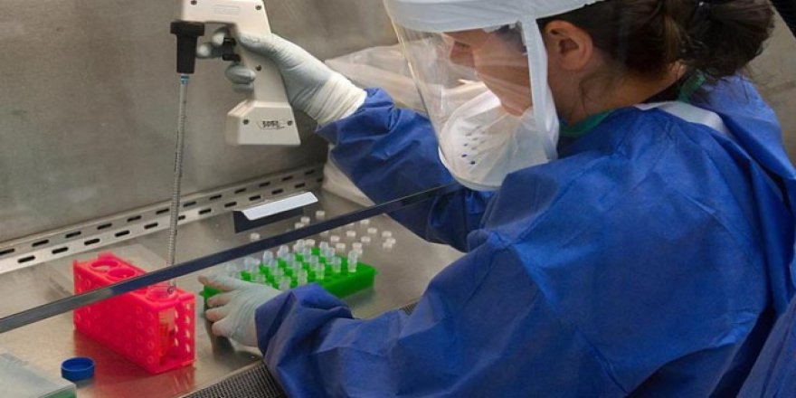 Güney Kore'de olimpiyatlarda nörovirüs alarmı