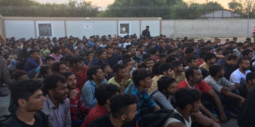 Edirne'de 230 kaçak ve sığınmacı yakalandı