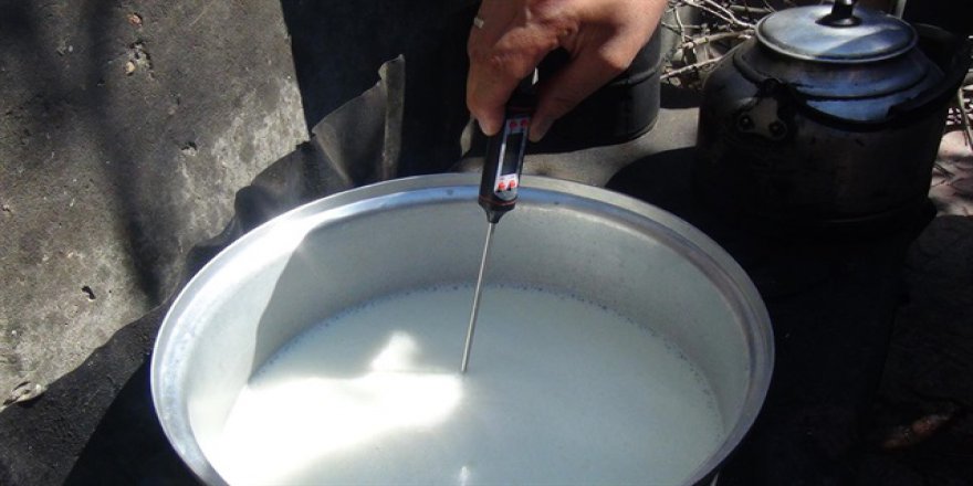 Çiğ sütte kritik uyarı: Hayvan hastalığı geçebilir