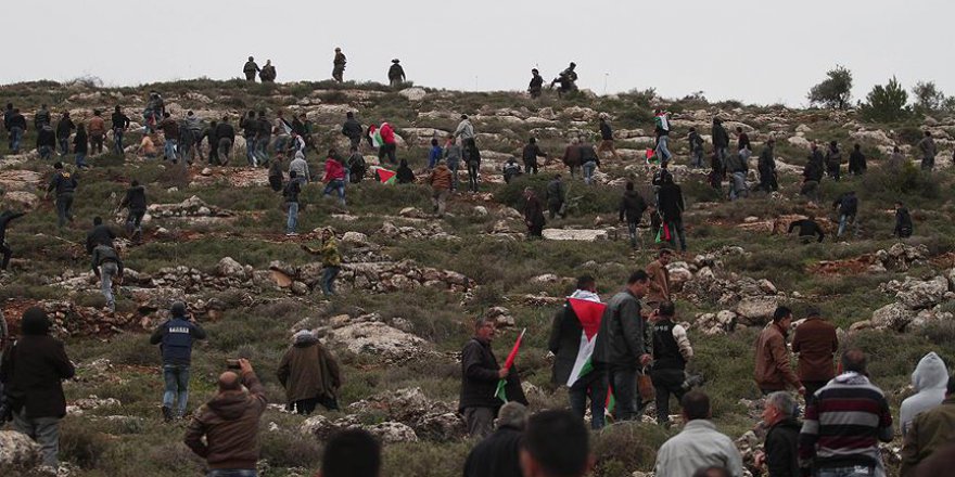 Zeytin ağacı diken Filistinlilere işgalci müdahalesi