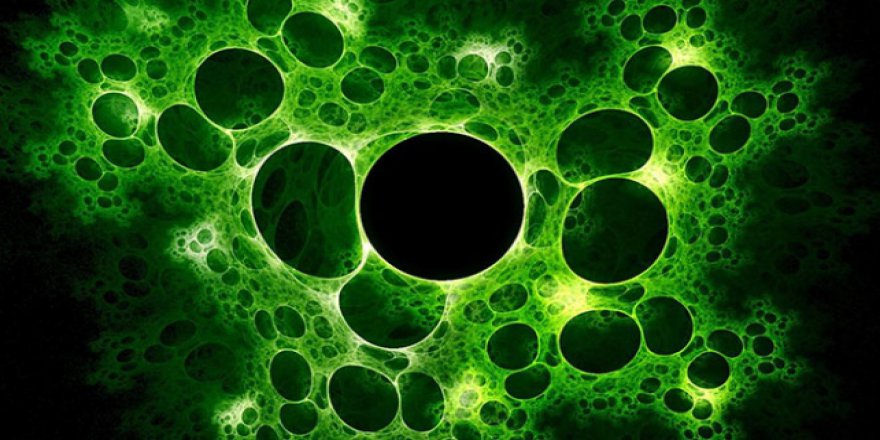 Ekvador'da domuz gribi 3 ayda 84 kişinin ölümüne neden oldu