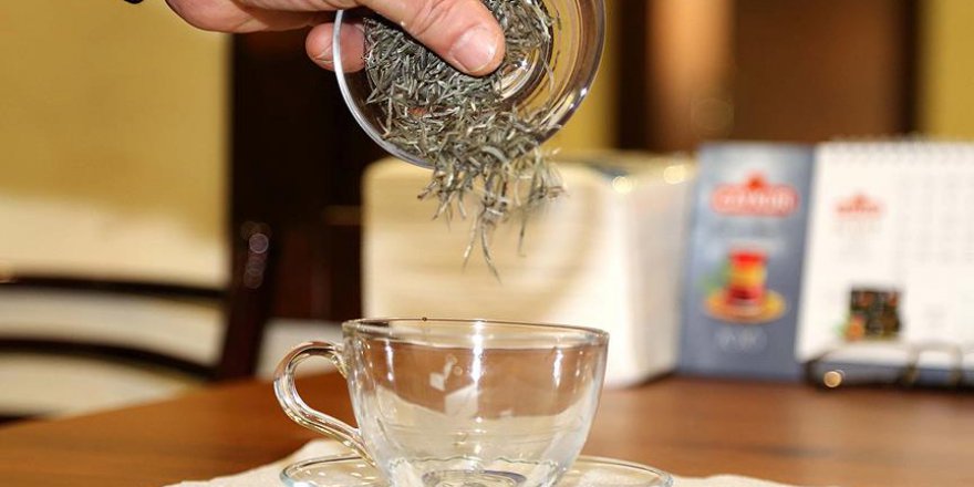Beyaz çayın sağlığa faydaları araştırılıyor