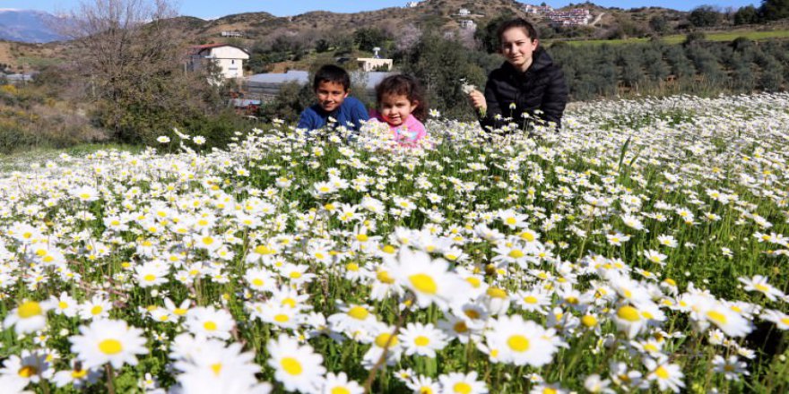 İlk cemre ne zaman düşecek? İlk cemre nereye düşer?