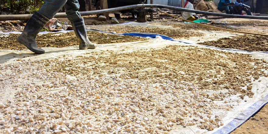 Sömürge zamanı madenleri yeniden faaliyette