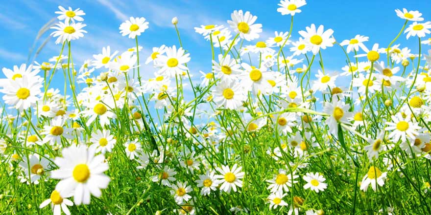 Baharın müjdesi ilk cemre ne zaman düşecek? Cemre nedir?