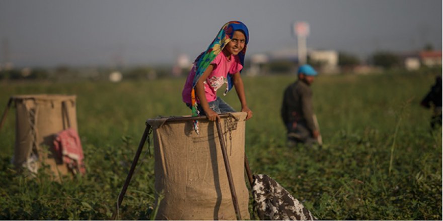 2018 çocuk işçiliği ile mücadele yılı ilan edildi