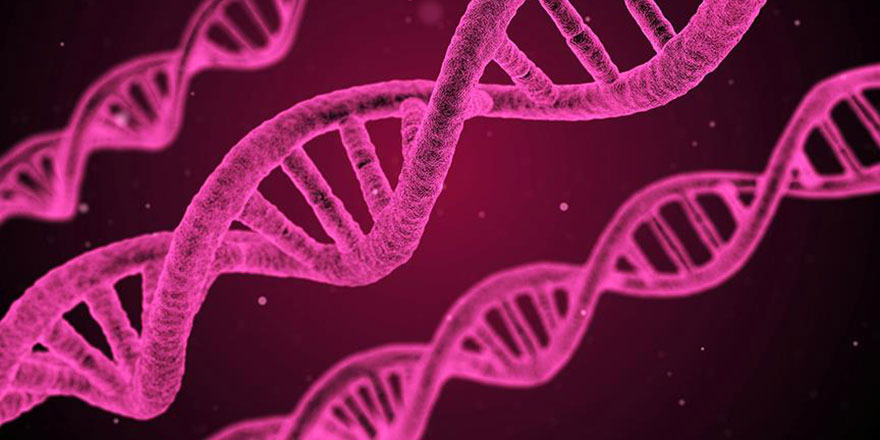 Kanserin DNA'daki parmak izini arıyorlar