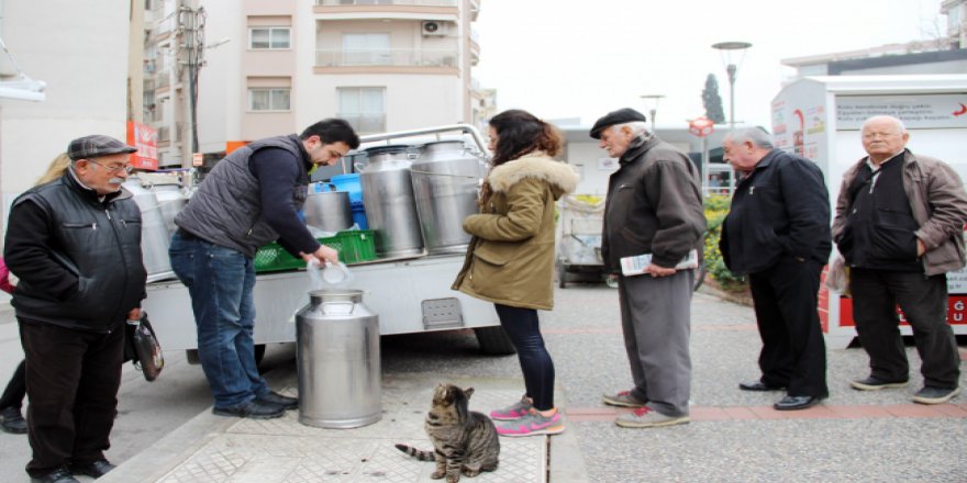 Sevimli kedi 4 yıldır süt almak için sıraya giriyor