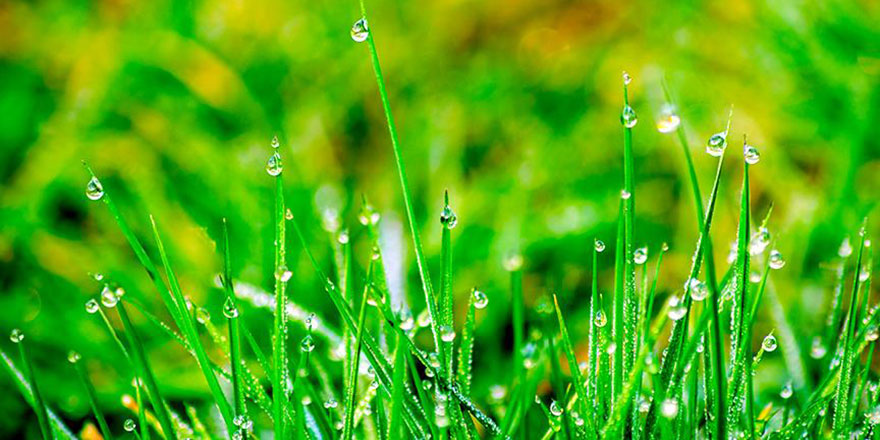 Ağustosta Türkiye normaline göre yüzde 52 daha fazla rahmet yağdırıldı