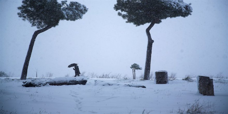 Avrupa dondurucu soğukların etkisi