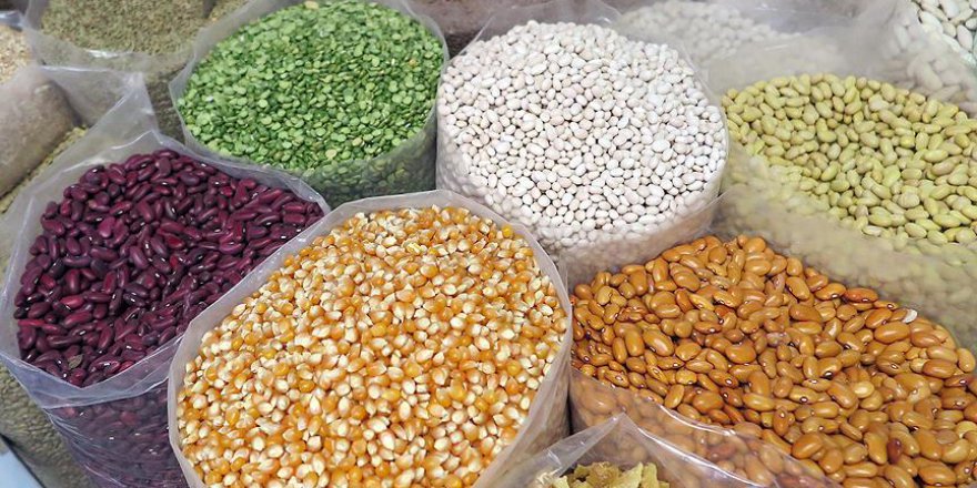 Norveç, tahıl depolarını güçlendiriyor