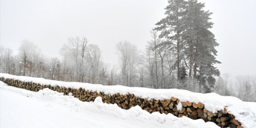 Polonya'da soğuk hava 53 kişinin ölümüne neden oldu