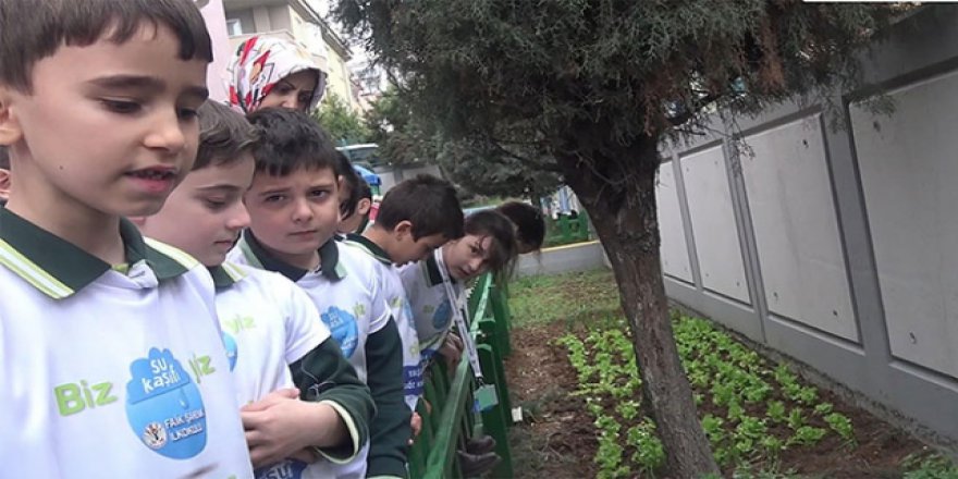 Öğrenciler, proje ile yağmur suyunda sebze yetiştirdi
