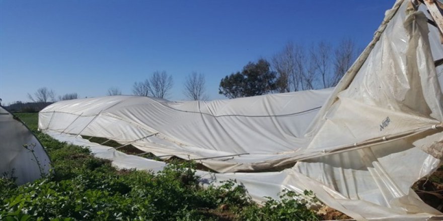 Antalya'daki seraları hortum vurdu