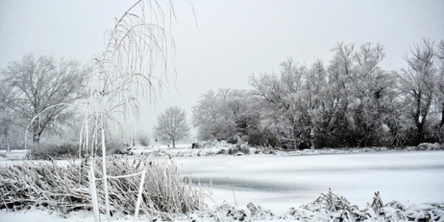 Avrupa'da donarak ölümler gerçekleşti