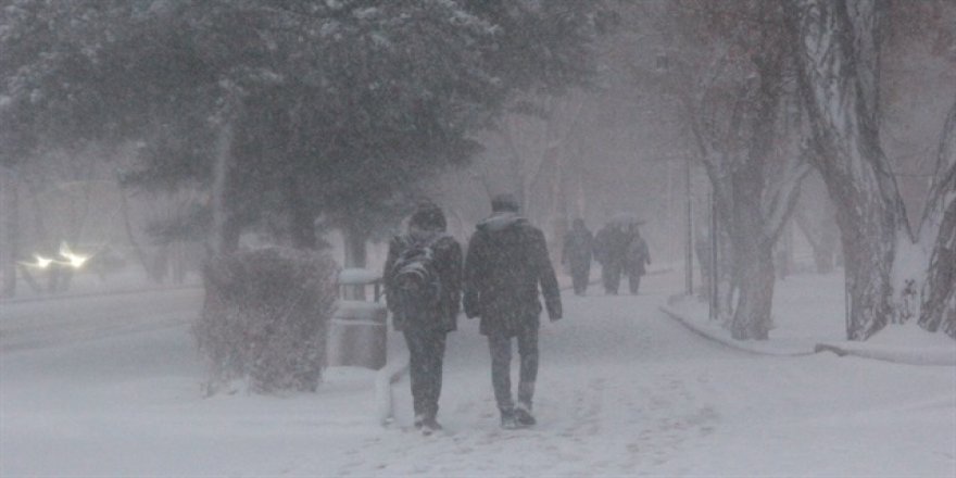 Doğu Anadolu'da kar yaşamı etkiliyor