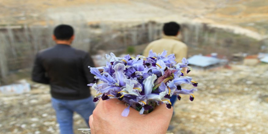 2019 Nevruz Bayramı ne zaman? Nevruz nedir?