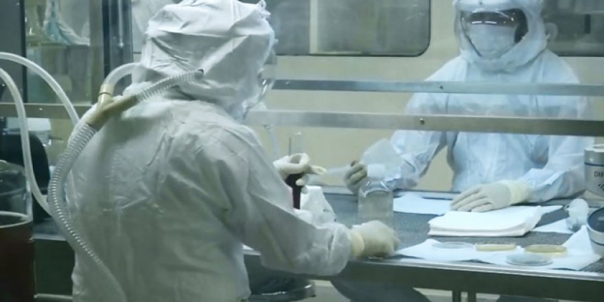 Brezilya’da sarı humma salgını