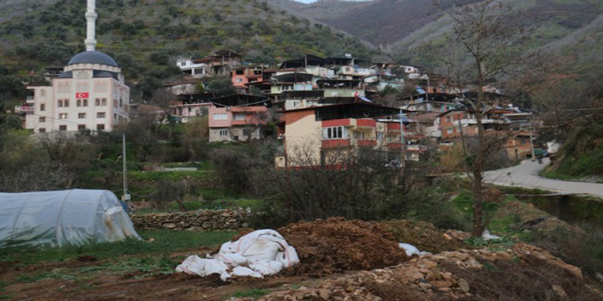 Nazilli'de bir mahalle 'kuduz' karantinasına alındı