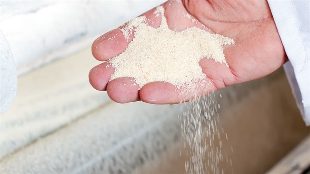 Türkiye un ihracında lider