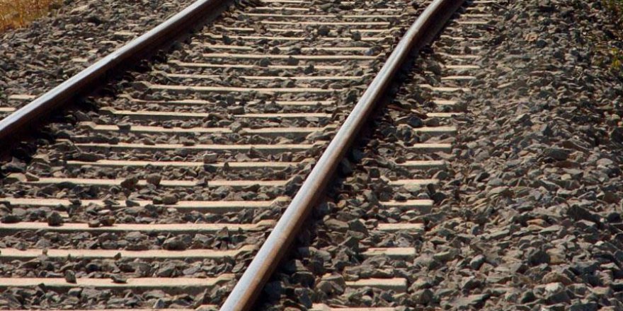 Caniler tren raylarına köpek bağladı