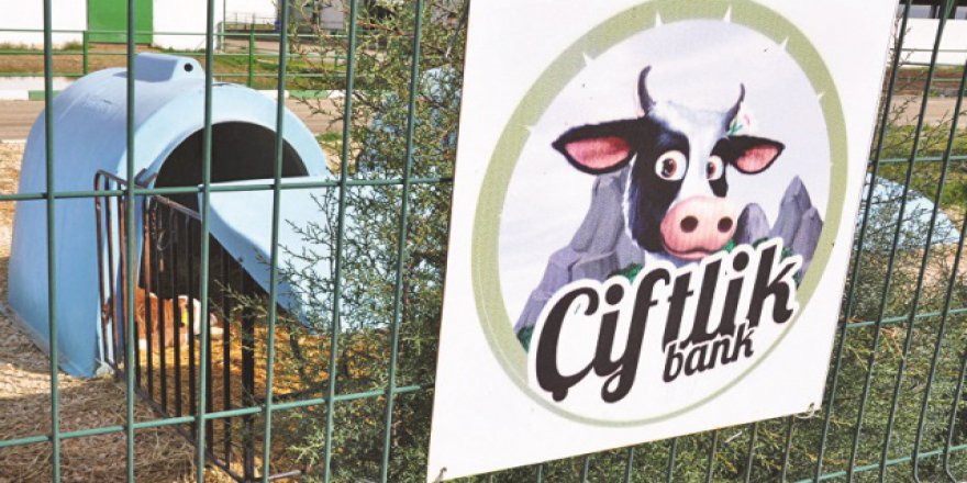 Binlerce kişiyi mağdur eden Çiftlik Bank'a kayyum atanacak