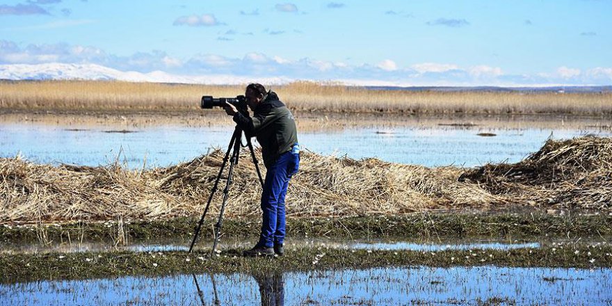 Gölde 'turna nöbeti'