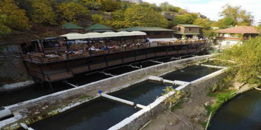 Su ürünlerinde destek ödemeleri yarın başlayacak