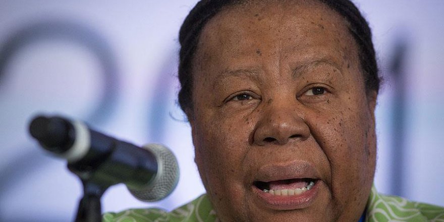 Güney Afrikalı bakandan Filistin'e destek