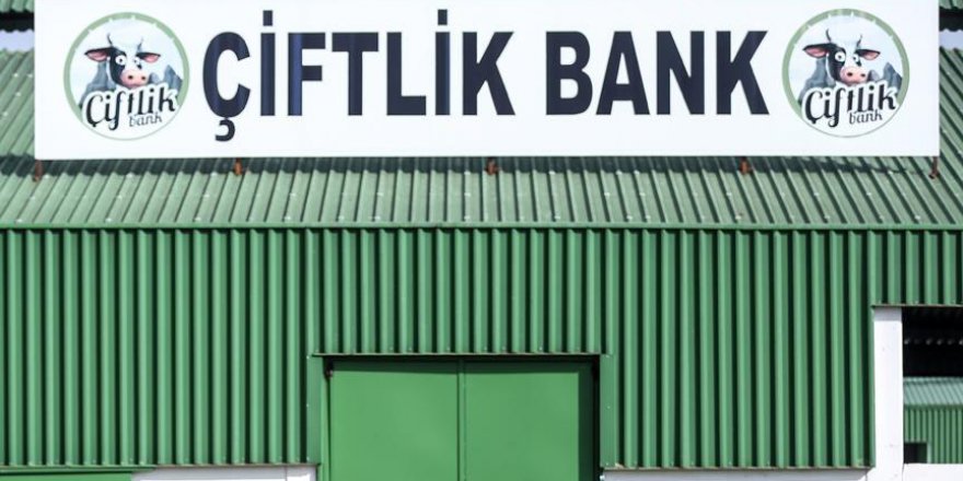 'Çiftlik Bank' soruşturmasında bir kişi daha tutuklandı