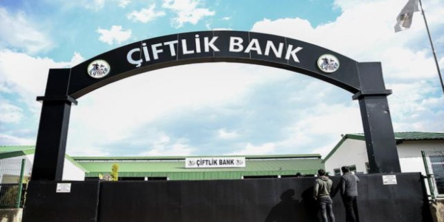 Çiftlik Bank soruşturmasında gözaltı dalgası