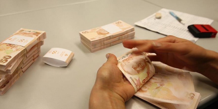 Vergi kaçıranları ihbar edenlere 12,8 milyon lira ödendi